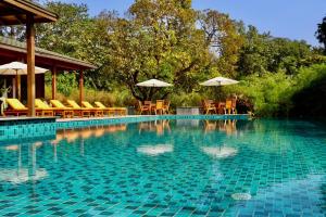 VichondremThe Postcard Hideaway, Netravali Wildlife Sanctuary, Goa的一个带椅子和遮阳伞的游泳池
