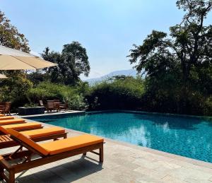 VichondremThe Postcard Hideaway, Netravali Wildlife Sanctuary, Goa的一个带躺椅和遮阳伞的游泳池