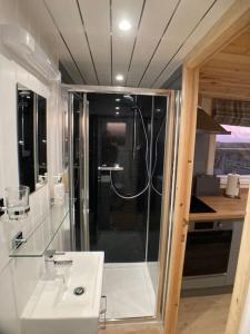 ColdinghamThe Ashmere Tiny House的带淋浴和白色盥洗盆的浴室