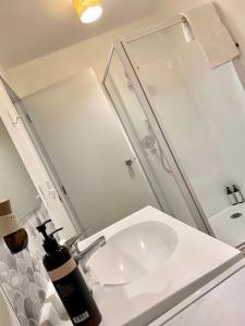 格莱诺基Glenorchy Retreat Apartment的浴室配有白色水槽和淋浴。