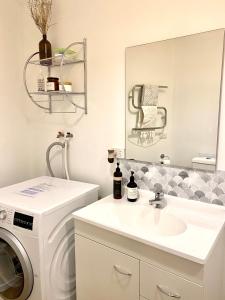 格莱诺基Glenorchy Retreat Apartment的一间带洗衣机和水槽的浴室