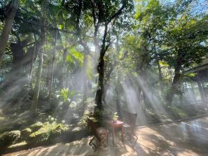 清迈Tree Scape Retreat Resort的相册照片