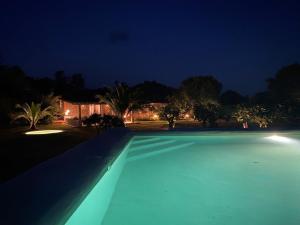 坎德莱达Finca Aprisco de Candeleda的一座晚上点亮的大型游泳池