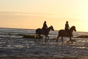 吕村la baie le Rue的日落时分在海滩上骑马的两人