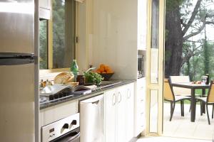 温特沃斯瀑布蓝山瀑布山庄酒店的厨房配有水槽和炉灶 顶部烤箱