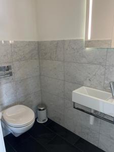 达沃斯Apartment Bellania的白色的浴室设有卫生间和水槽。