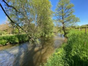 福维莱尔斯Le Héron - Gîte de charme avec rivière - 6 ou 10 personnes的一条有树的河