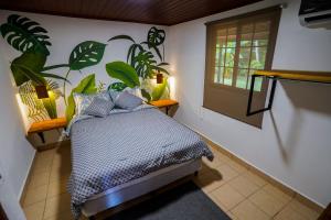 CuipoPrivate Tropical Paradise - Gatuncrocs的卧室配有一张挂在墙上的植物床