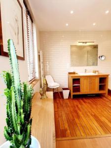 多维尔Villa Bon Accueil的客房内的浴室设有水槽和仙人掌