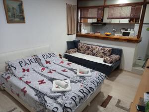 萨拉热窝APARTMAN AZRA的客厅配有床和沙发