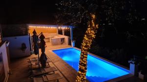 圣维托基耶蒂诺Il Nido B&B的夜间游泳池,有树和灯光