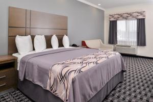 亨博尔Americas Inn & Suites IAH North的酒店客房带一张大床和一把椅子