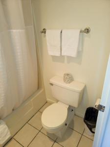 班戈Queen City Inn的一间带卫生间、淋浴和毛巾的浴室