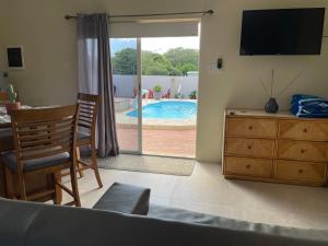 帕拉德拉LiCe Garden Aruba的享有游泳池景致的客厅