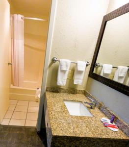 班戈Queen City Inn的一间带水槽、镜子和淋浴的浴室