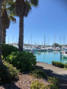 奥克兰Gulf Harbour Guest House Apartment的棕榈树和水中船只的码头