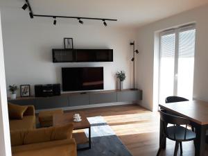 热舒夫Apartament Projektant的客厅配有沙发和墙上的电视
