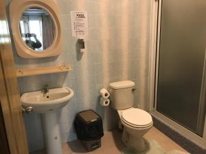 贝圣安那A&D Holiday Home的一间带卫生间、水槽和镜子的浴室