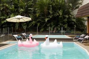 悉尼坎珀当莱吉斯酒店的游泳池里三个天鹅