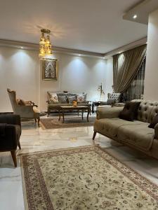 开罗Cairo Egypt Al Rehab amazing Flat的带沙发和地毯的大型客厅