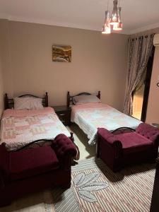 开罗Cairo Egypt Al Rehab amazing Flat的一间带两张床的卧室和地毯