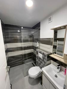察津Motel "KULA"的浴室配有卫生间、淋浴和盥洗盆。
