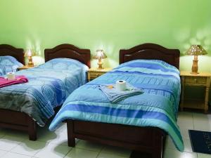 塔里哈Tierra Nuestra的一间卧室设有两张床和两张带台灯的桌子。