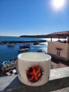 普罗奇达La terrazza di Maria的坐在俯瞰海港的凹槽上的咖啡杯