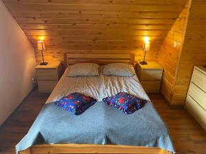 扎沃亚Babie Domki的一间卧室配有一张带两个枕头和两个灯的床。