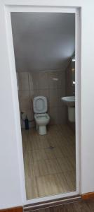 辛尼莫雷特АПАРТАМЕНТ АРГАНТОНЕ的一间带卫生间和水槽的浴室