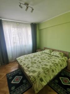 蒂米什瓦拉Modern Room With A Great Sunrise的一间卧室配有一张带绿色棉被的床和窗户。