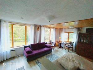 巴特尚道Elbenland Apartments & Bungalows的客厅配有紫色沙发和桌子