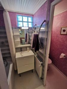 ArryLa maison de Céline的一间带水槽和镜子的小浴室