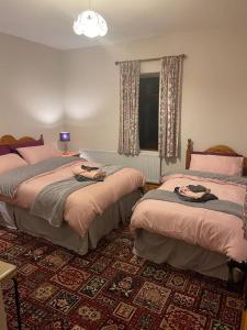 斯莱戈Grogagh Hill Cottage的一间卧室设有两张床和窗户。