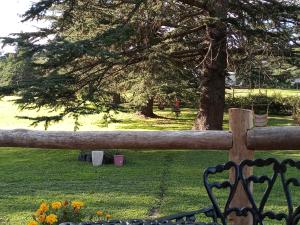 坦迪尔Cabañas Cuncumen的公园里木栅栏,有树