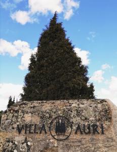 福什科阿新镇Villa Auri的石墙后面有标志的大松树