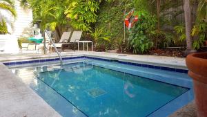 基韦斯特Authors Key West Guesthouse的游泳池,位于带游泳池的庭院