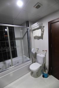 BostaniçiSARDUR HOTEL的浴室配有白色卫生间和淋浴。