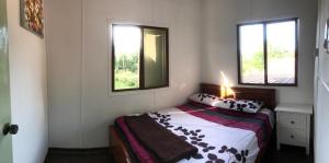 宾南邦Noungan Farm Homestay的一间卧室设有一张床和两个窗户。