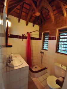 阿姆巴托洛阿卡Hotel Benjamin的一间带水槽、淋浴和卫生间的浴室
