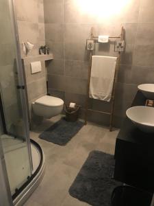 恩斯赫德Bed and Breakfast Unique的浴室配有卫生间、盥洗盆和淋浴。