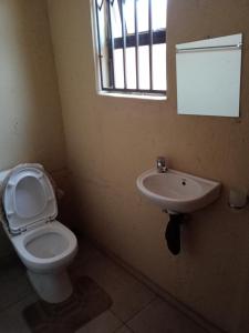 杰米斯顿AGNES GUEST HOUSE的一间带卫生间和水槽的浴室