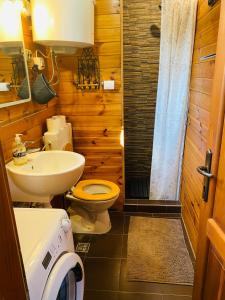 House for rent Mrežnica的一间浴室