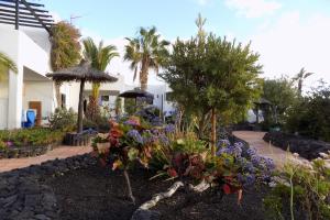 卡门港Casa Matini - Apartment next to the beach in Puerto del Carmen的一座花园,在房子前面种满鲜花和树木