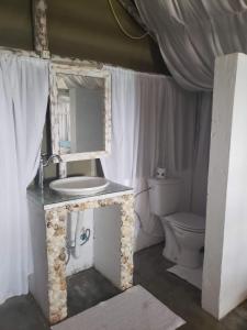 蓬塔杜欧鲁Complexo Baleia Azul Camping的一间带水槽和卫生间的浴室