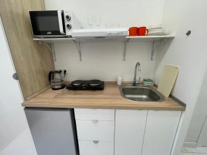 阿拉木图Апартаменты #3的一间带水槽和微波炉的小厨房