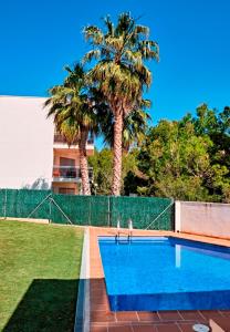 卡拉法特Magnifico Apartamento Edificio Marina的一座拥有两棵棕榈树和围栏的游泳池