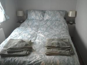 埃克斯茅斯54 Apple Grove的一张带两条毛巾的床和两盏灯