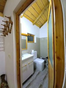 TepelenëBujtina Peshtan Guesthouse&Camping的一间带卫生间和水槽的浴室