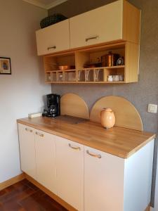 马尔梅迪Chalet Malmedy的厨房配有白色橱柜和木制台面